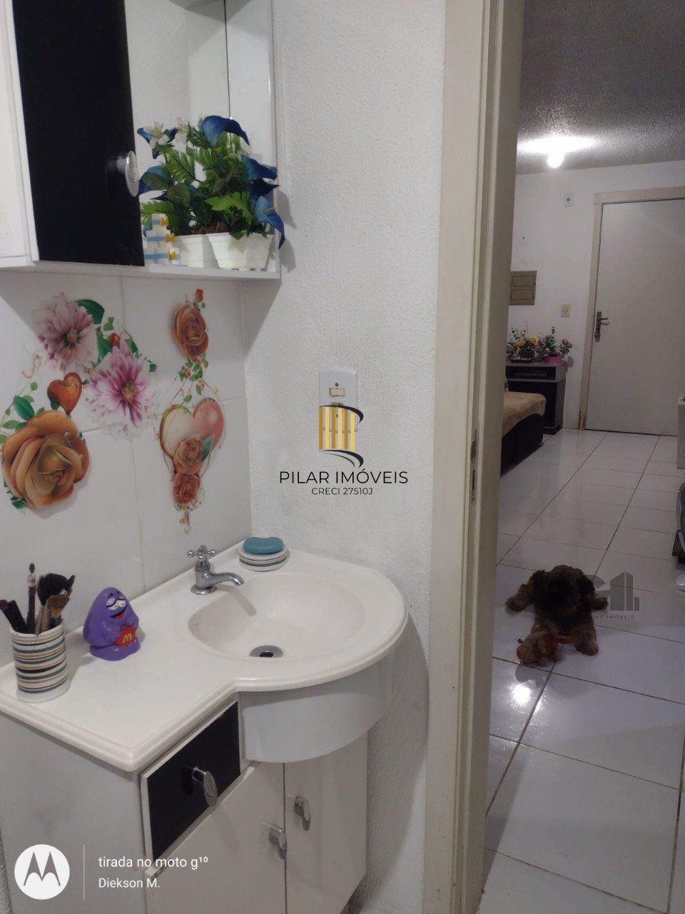 Apartamento 2 Dormitório(s) Bairro Agronomia