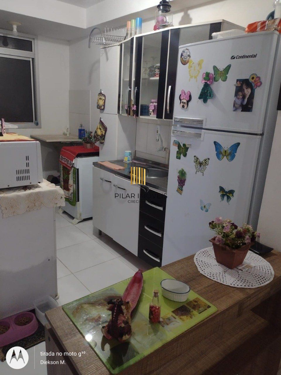 Apartamento 2 Dormitório(s) Bairro Agronomia
