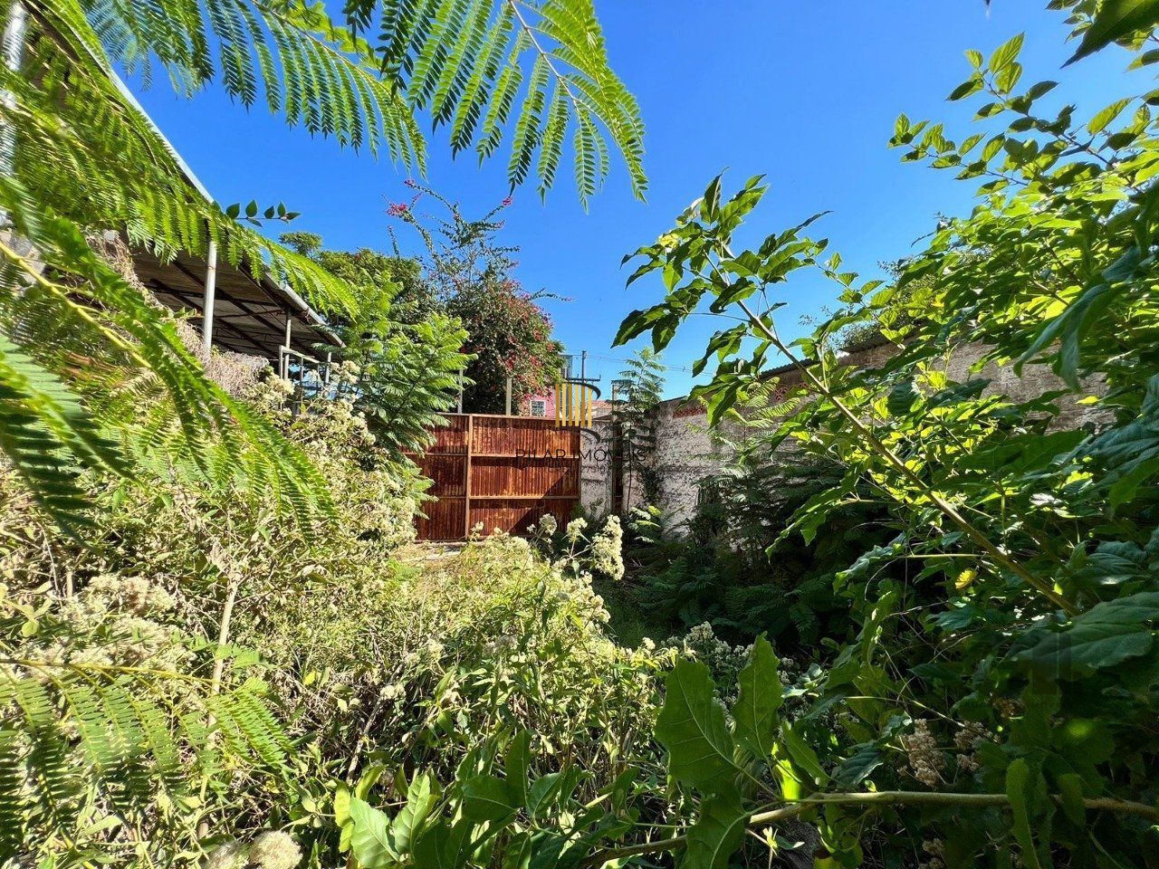 Terreno no bairro Floresta
