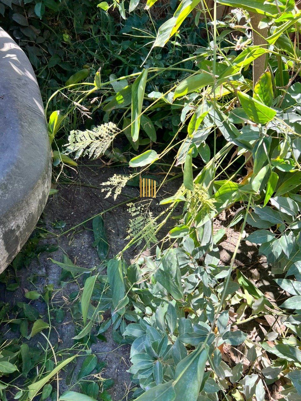 Terreno no bairro Floresta