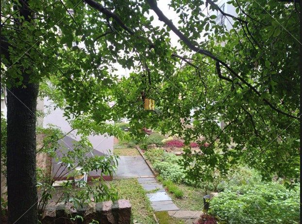 Casa para Venda - 3 dormitórios, sendo 1 suites, 2 vagas - Menino Deus