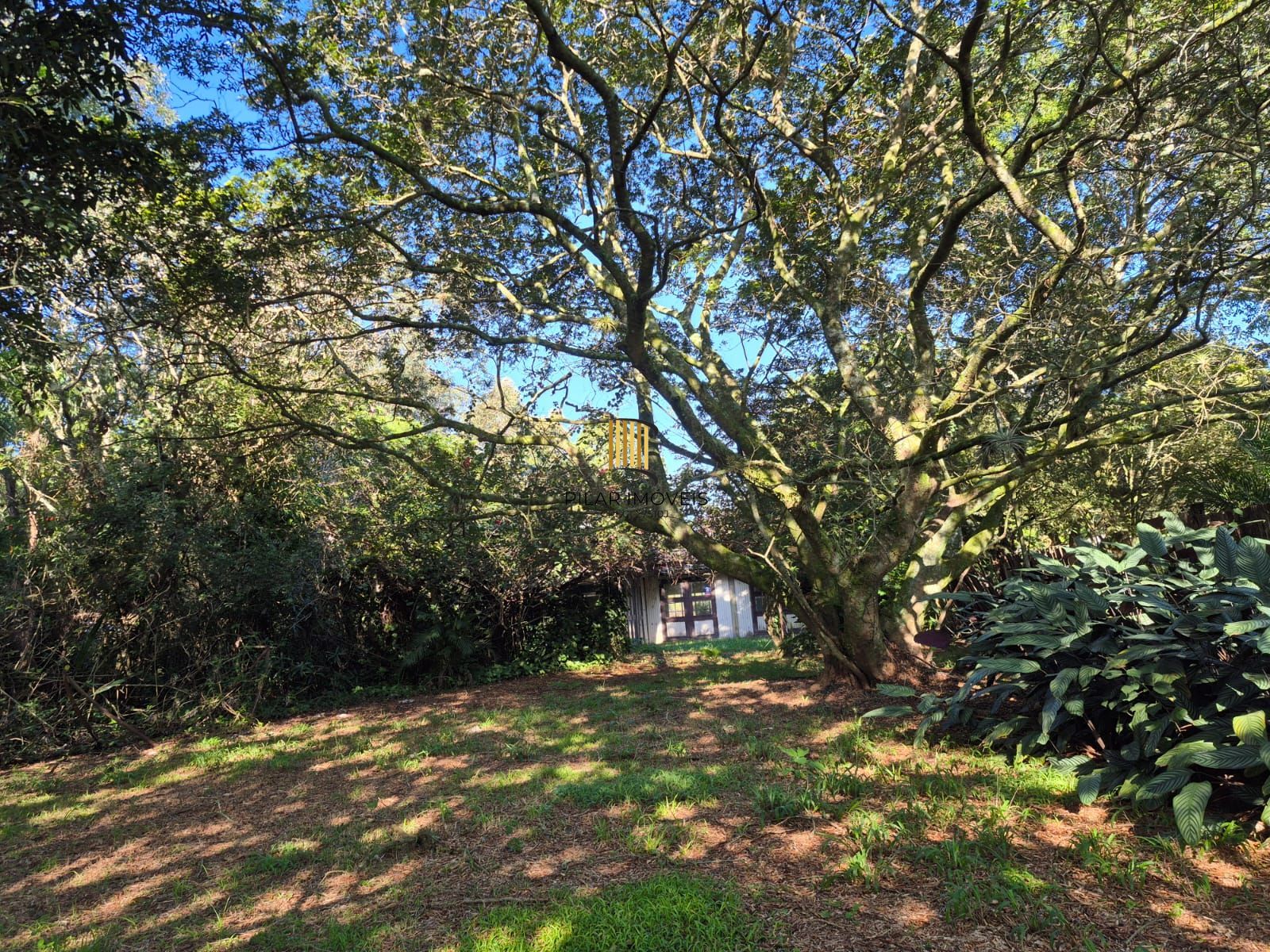 Sítio com 2.340m² em Viamão