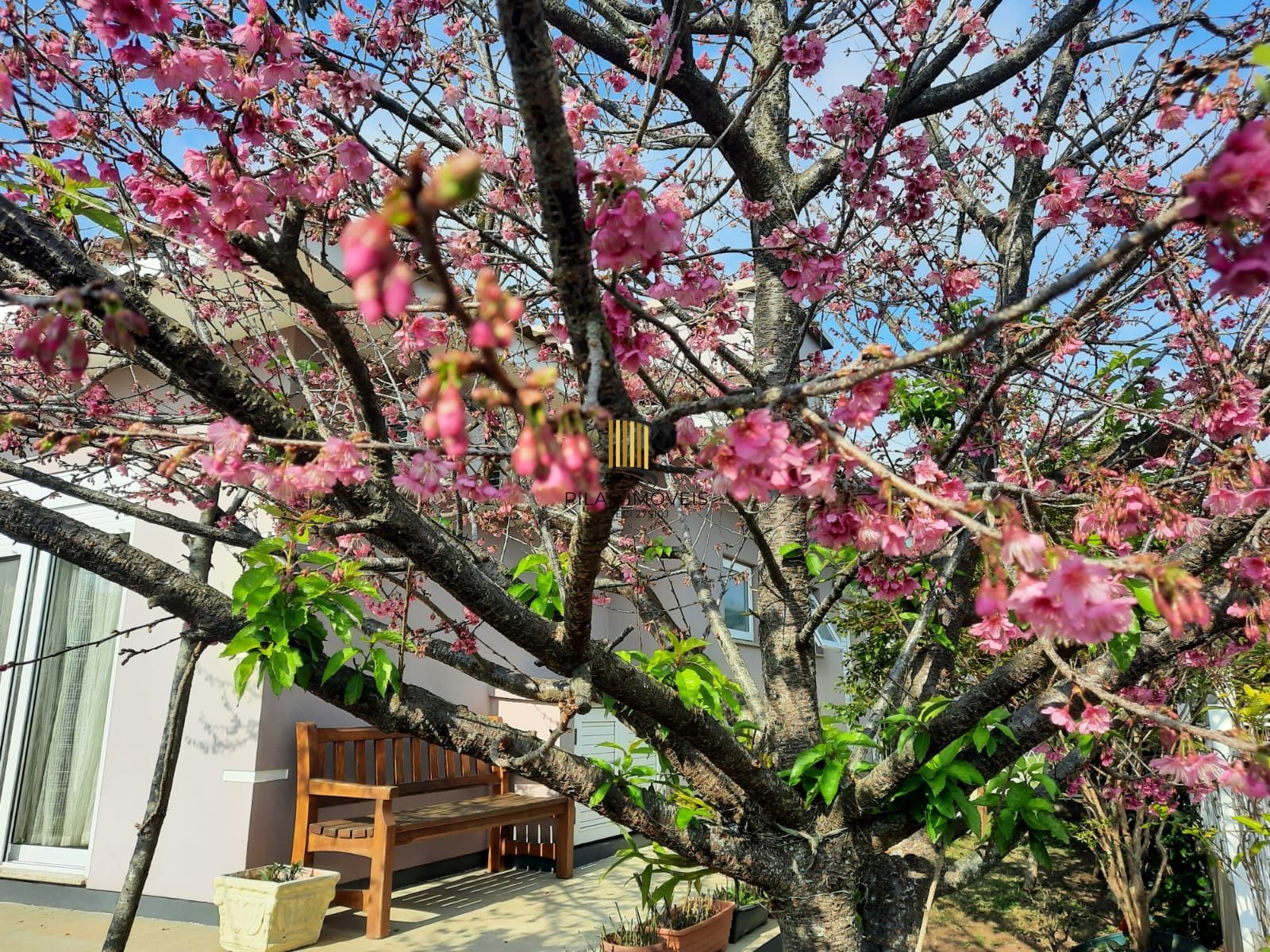 Condomínio Cantegril