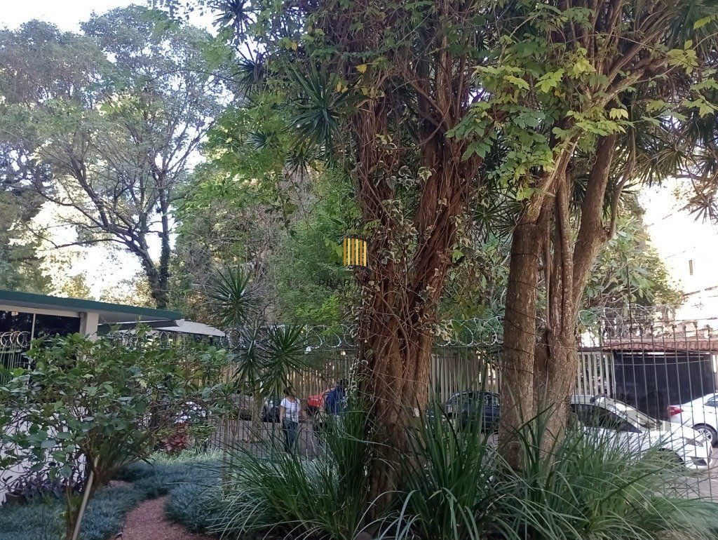 apartamento - 3 dorms.-  1 vaga -92,00 m² - Santana