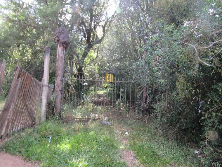 Área 53851,44 m²  no Beco da Paixão Bairro Lomba do Pinheiro - Pilar Imóveis