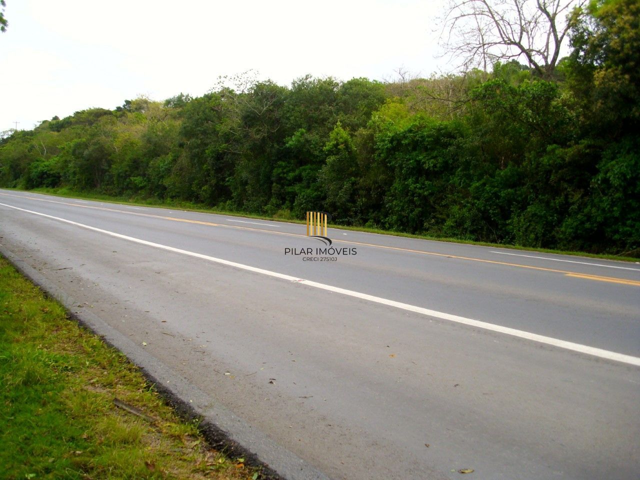 Área Rural no bairro Fiuza