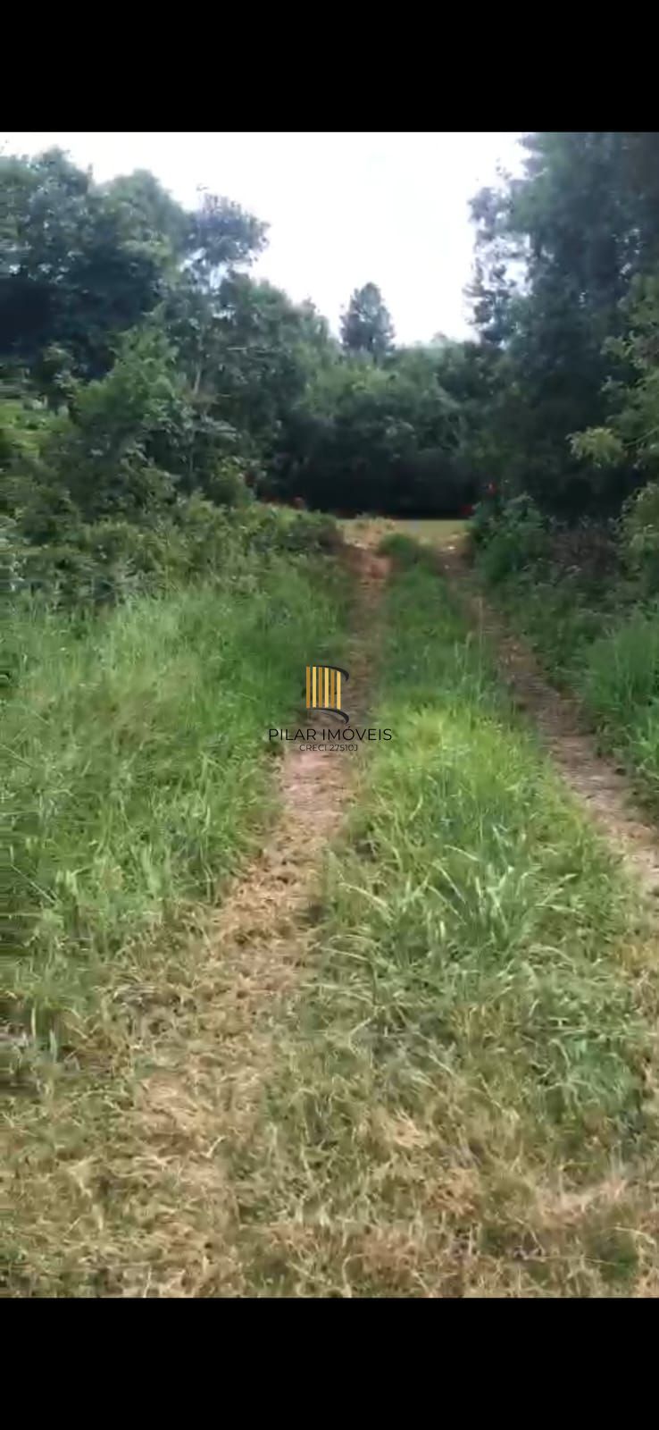 Área Rural no bairro Fiuza