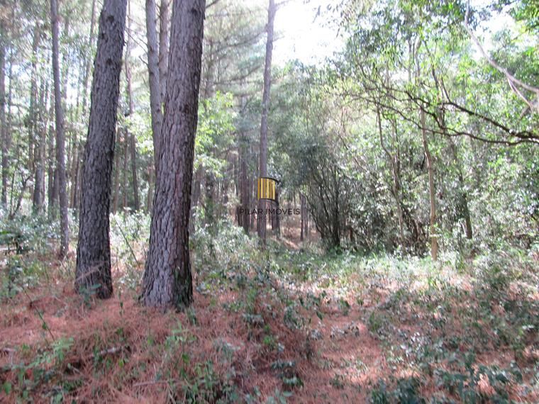 Área 53851,44 m²  no Beco da Paixão Bairro Lomba do Pinheiro