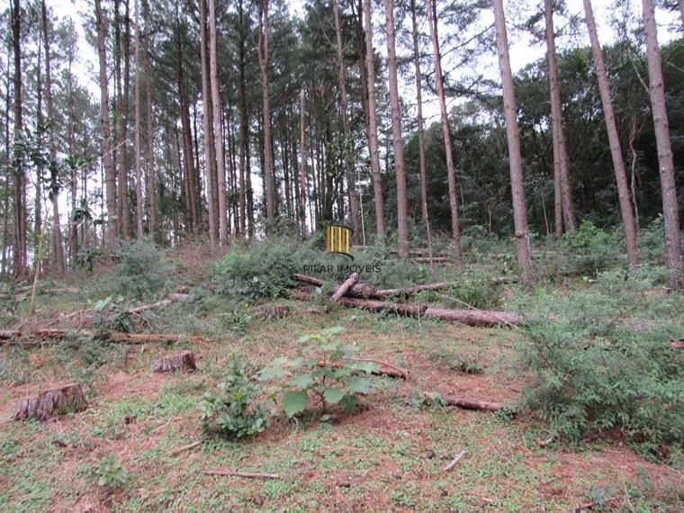 Área 53851,44 m²  no Beco da Paixão Bairro Lomba do Pinheiro