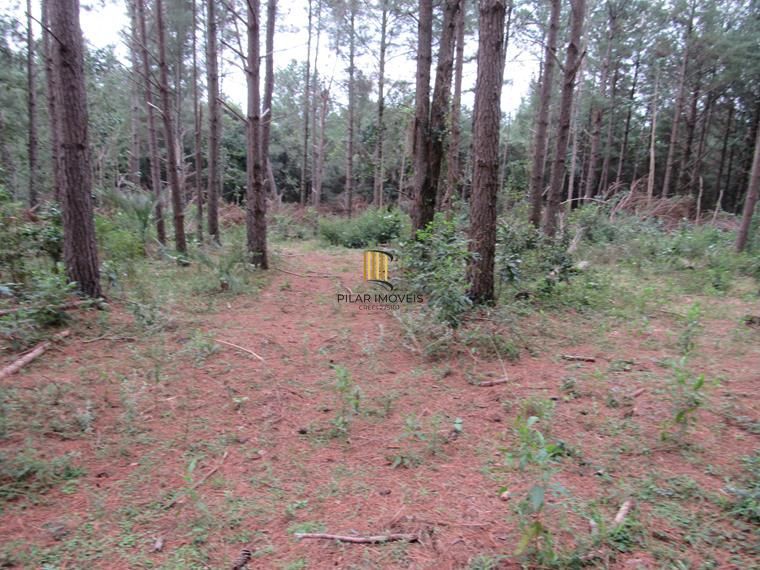 Área 53851,44 m²  no Beco da Paixão Bairro Lomba do Pinheiro