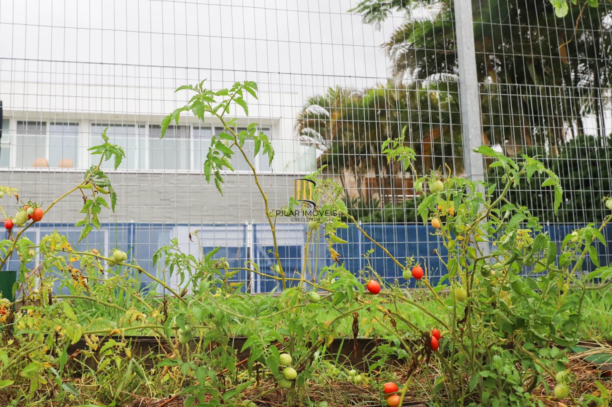 Terraville com 5 suítes