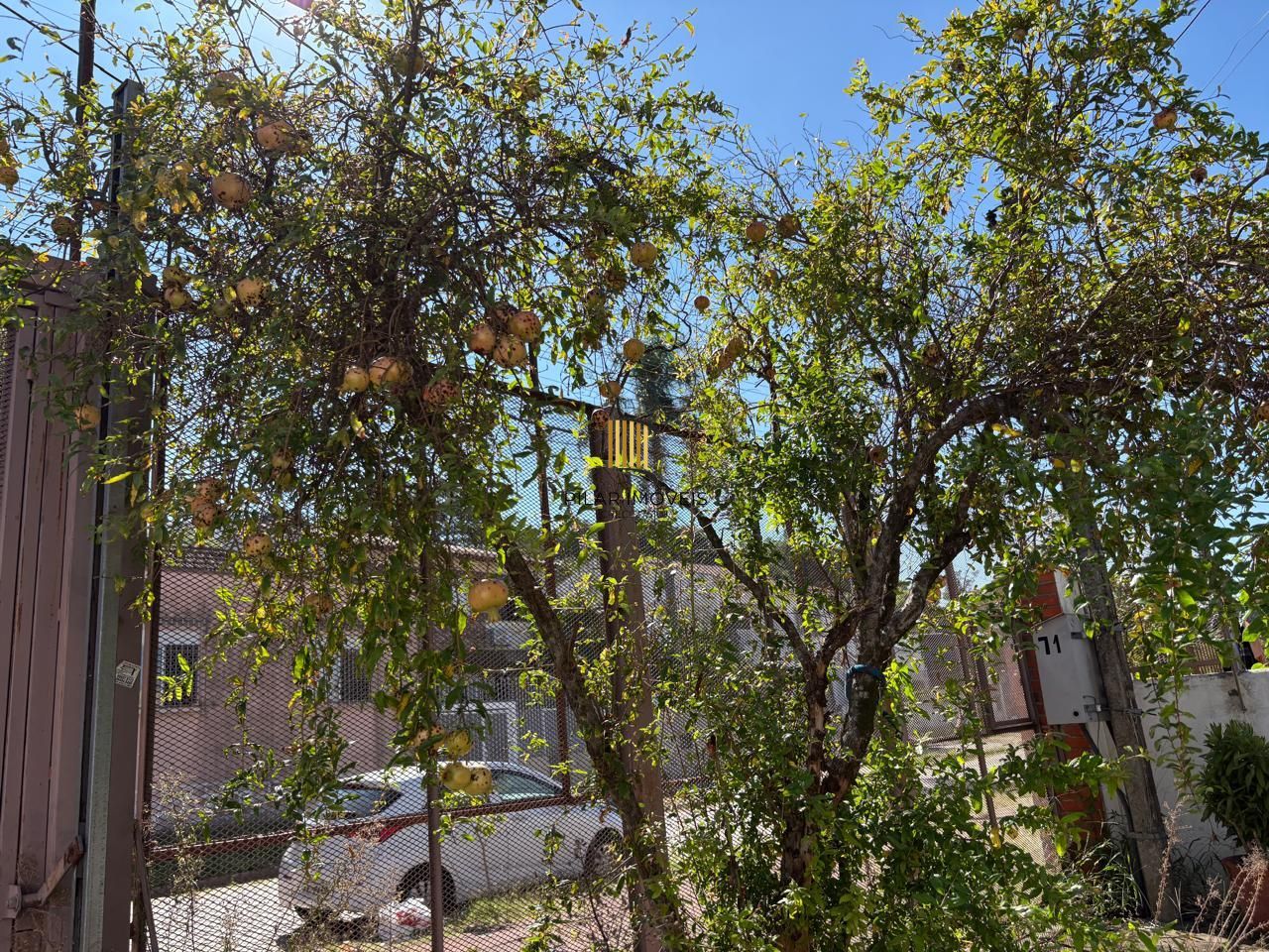 Casa residencial 2 Dormitórios