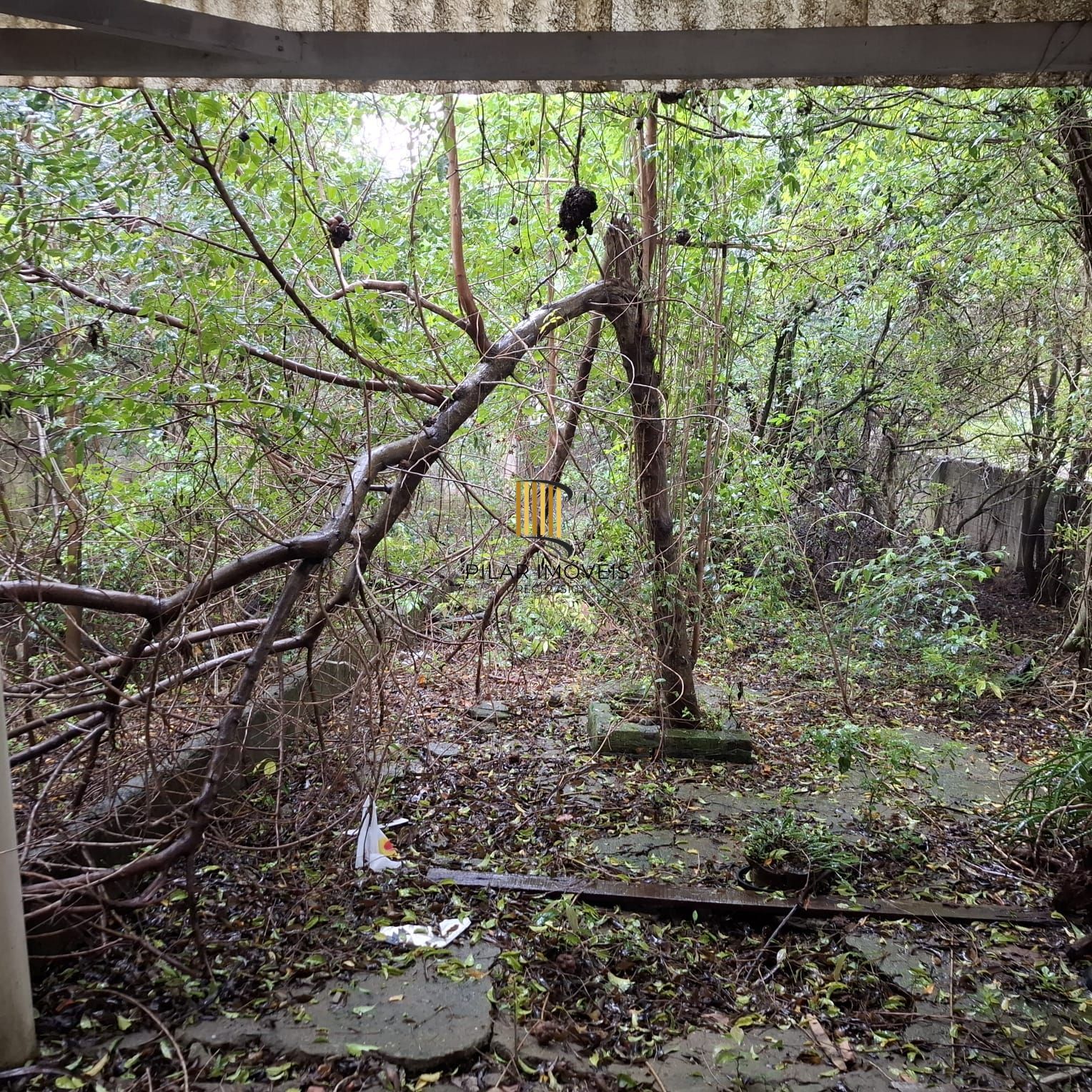 Terreno no bairro Glória
