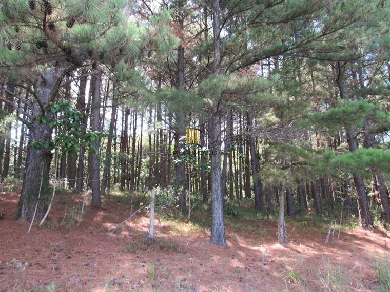 Área 53851,44 m²  no Beco da Paixão Bairro Lomba do Pinheiro