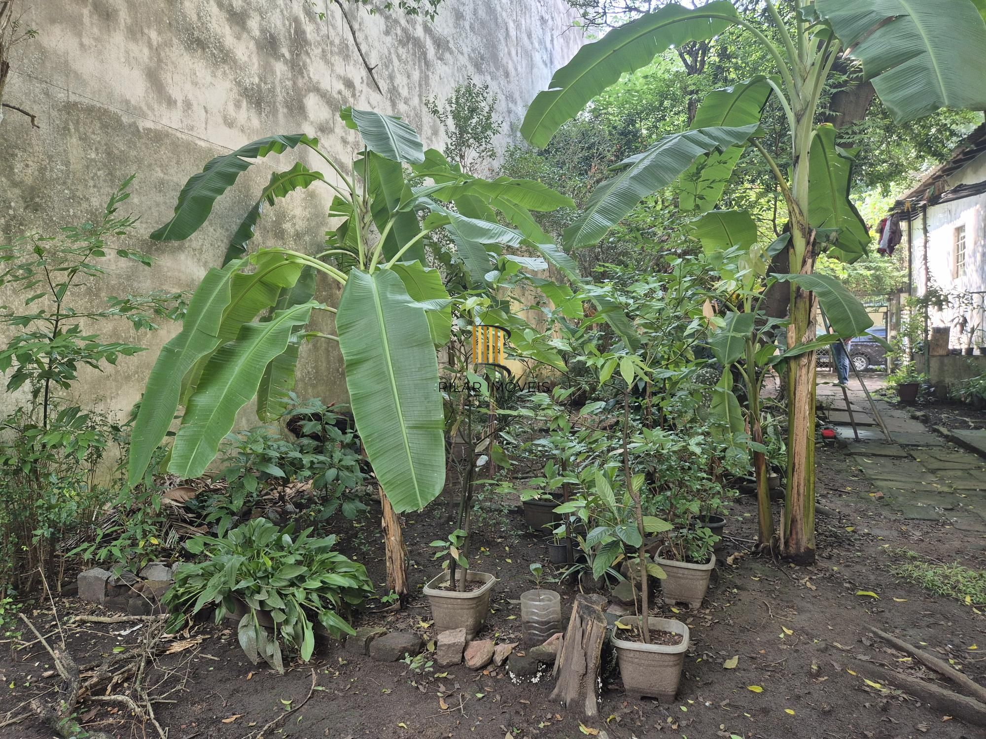 Terreno para investidores