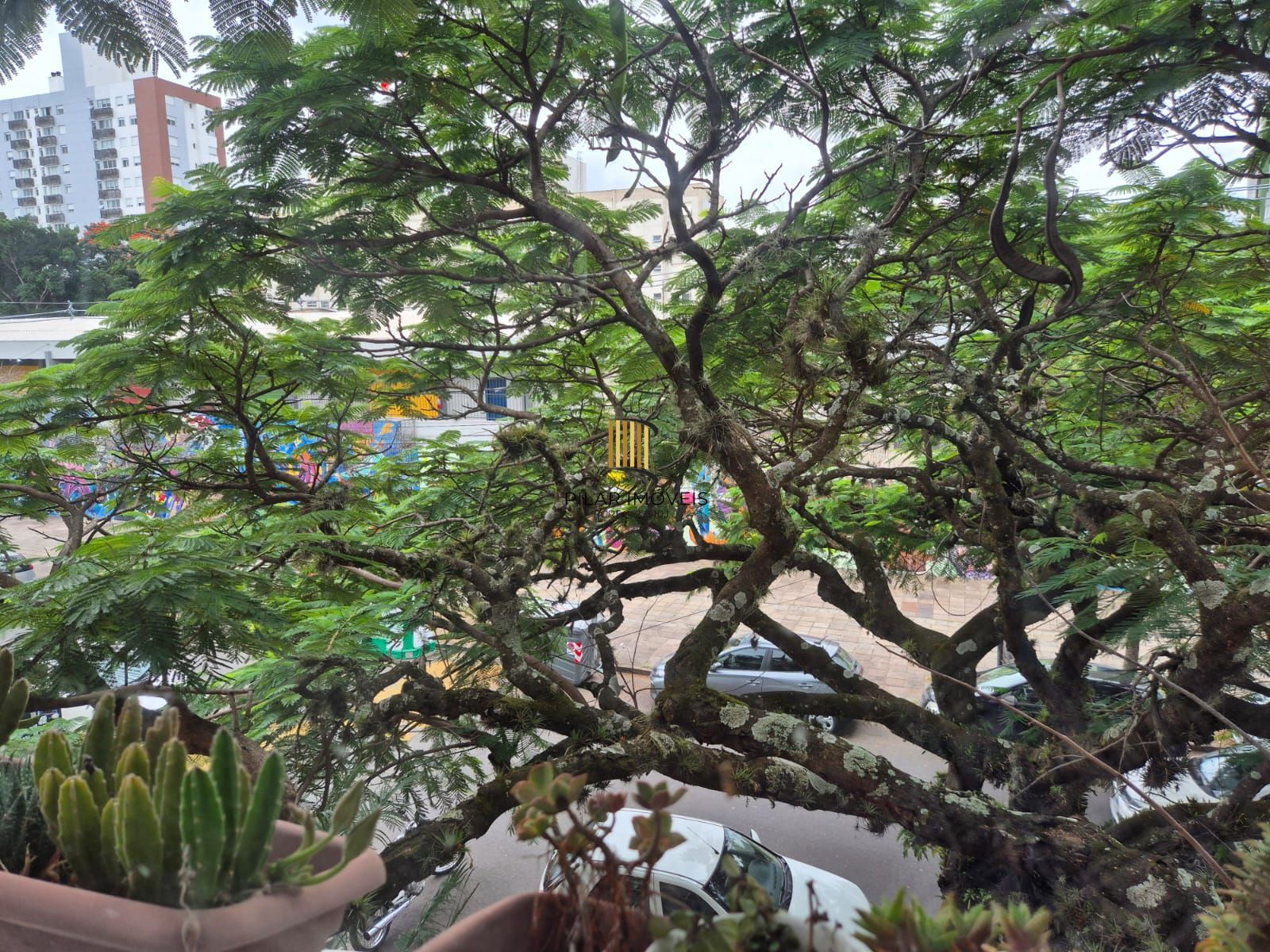 2 Dormitórios com terraço