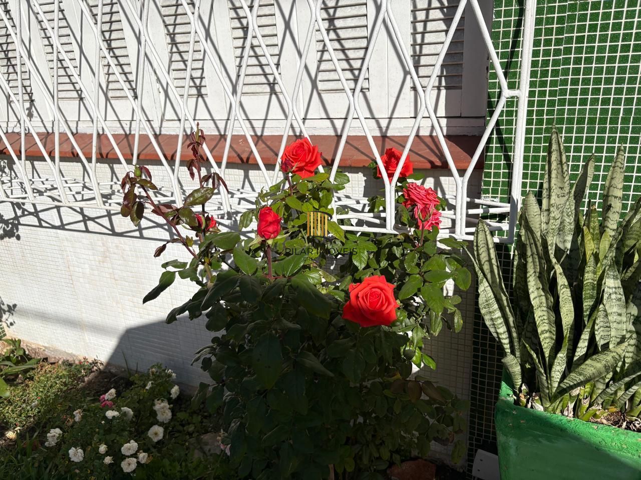 Apartamento 1 dormitório próximo Shopping Praia de Belas