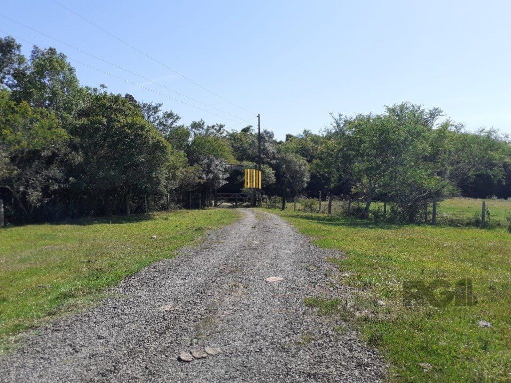 SÍTIO   -  8 ha 2.980 m²  de extensão -  5 dormitórios - 2 vagas - TRIUNFO-RS