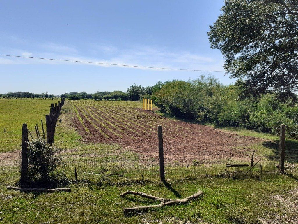 SÍTIO   -  8 ha 2.980 m²  de extensão -  5 dormitórios - 2 vagas - TRIUNFO-RS