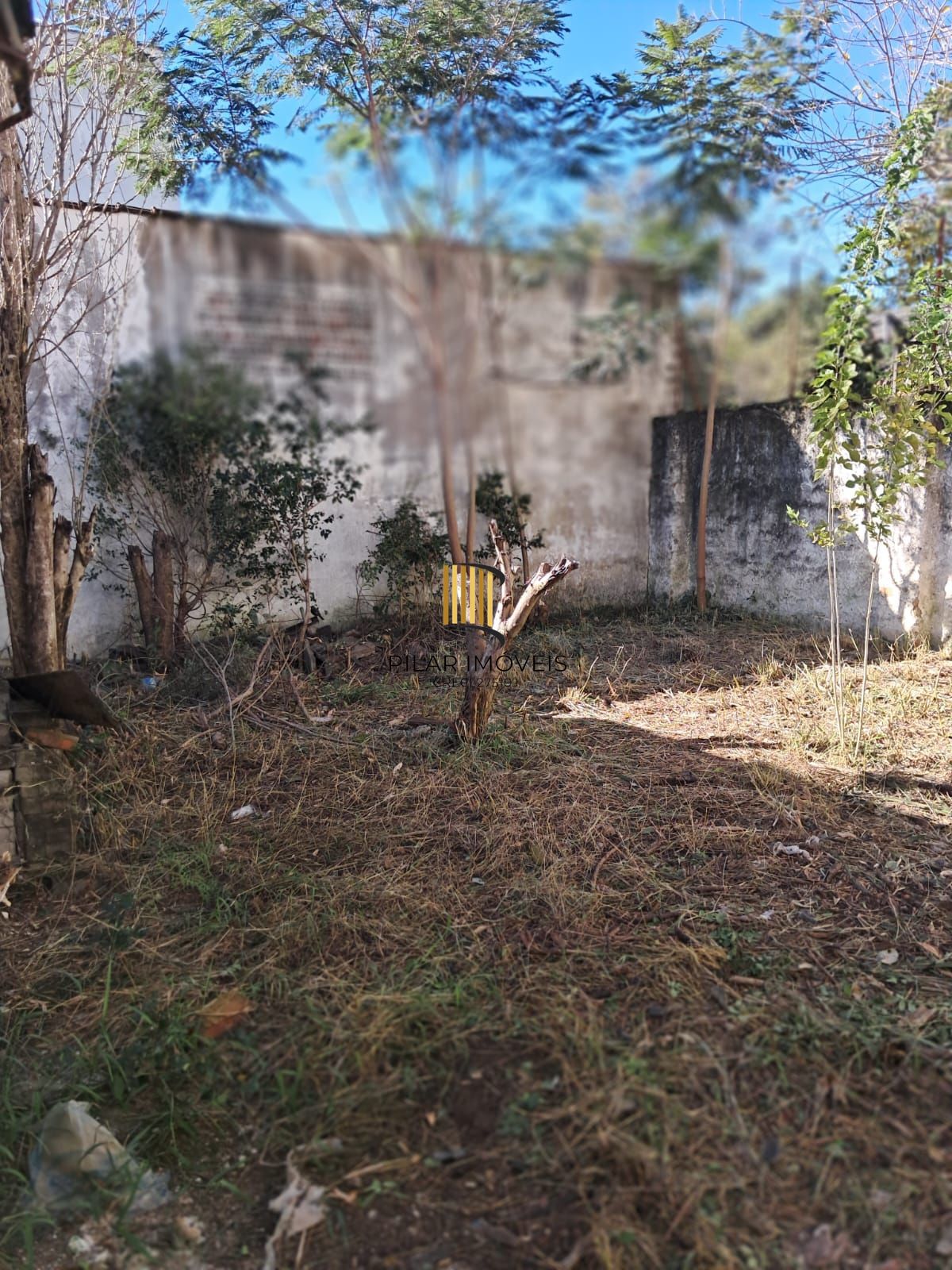 Terreno 11x29