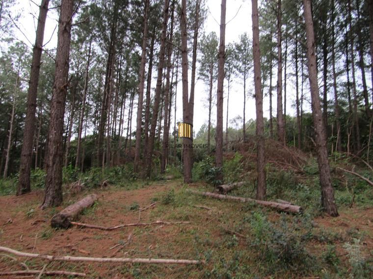 Área 53851,44 m²  no Beco da Paixão Bairro Lomba do Pinheiro