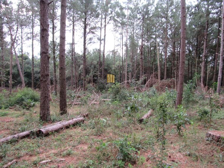 Área 53851,44 m²  no Beco da Paixão Bairro Lomba do Pinheiro