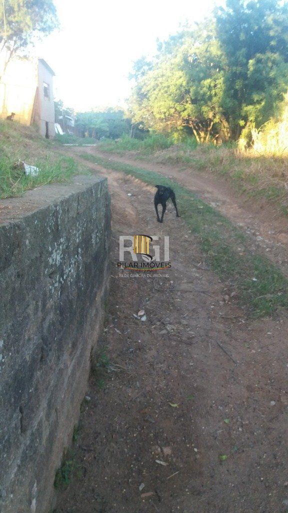 Terreno para Venda - 0m², 0 dormitórios, Nonoai