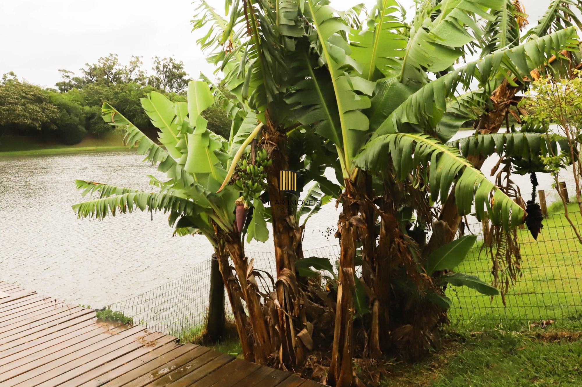 Terraville com 5 suítes