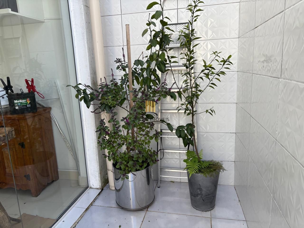 Loja comercial na Glória