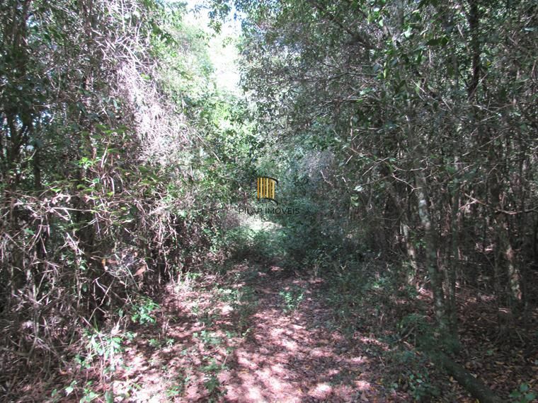 Área 53851,44 m²  no Beco da Paixão Bairro Lomba do Pinheiro
