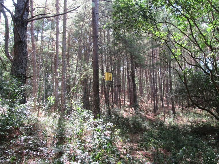 Área 53851,44 m²  no Beco da Paixão Bairro Lomba do Pinheiro