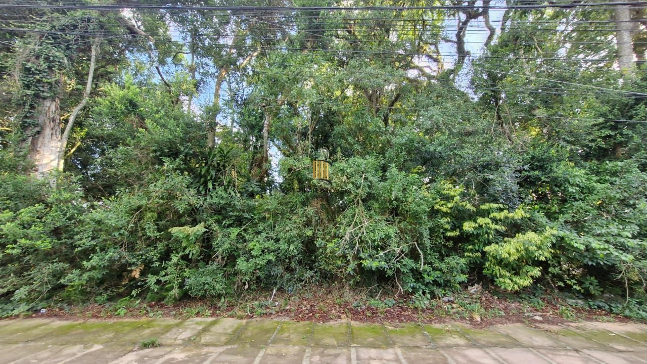 Terreno com 6.200 m² no Teresópolis, pronto para construir