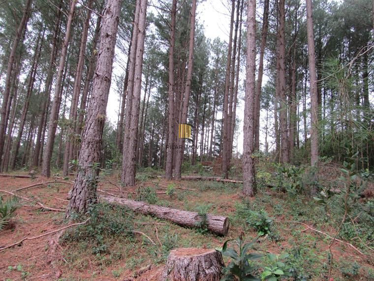 Área 53851,44 m²  no Beco da Paixão Bairro Lomba do Pinheiro
