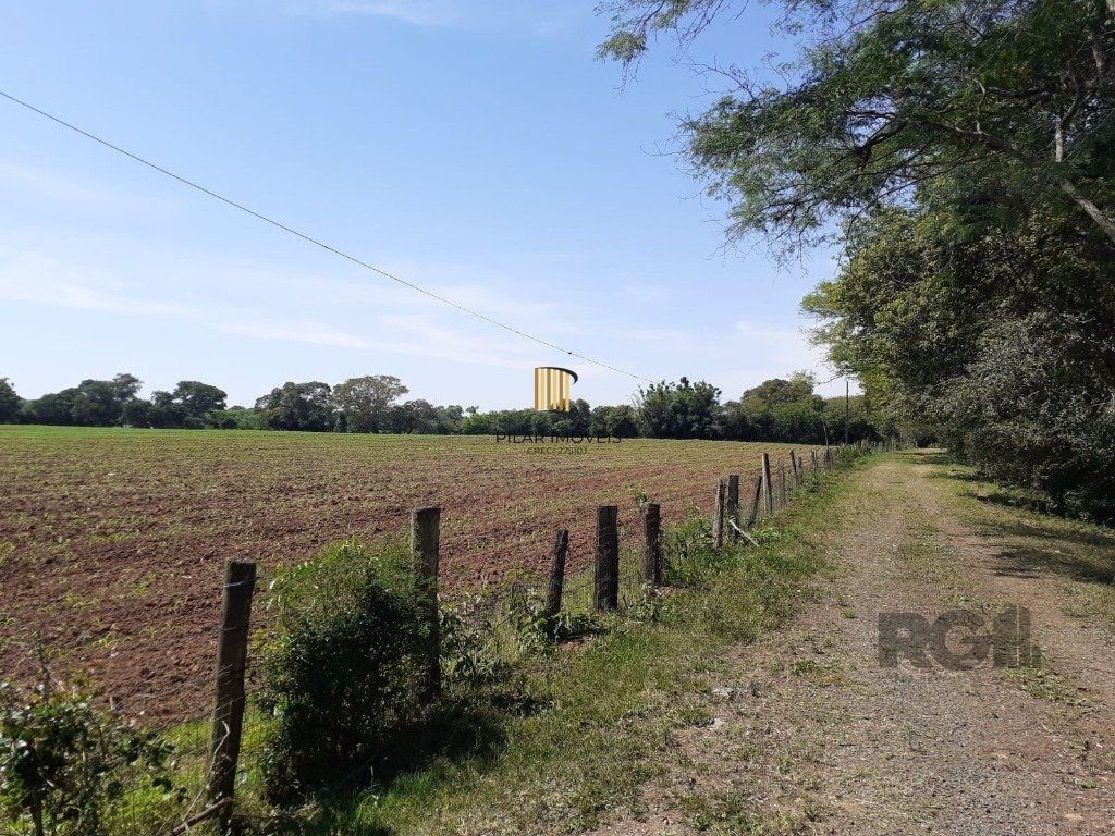 SÍTIO   -  8 ha 2.980 m²  de extensão -  5 dormitórios - 2 vagas - TRIUNFO-RS