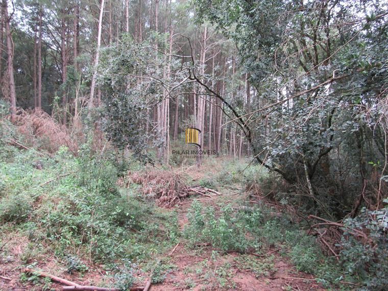 Área 53851,44 m²  no Beco da Paixão Bairro Lomba do Pinheiro
