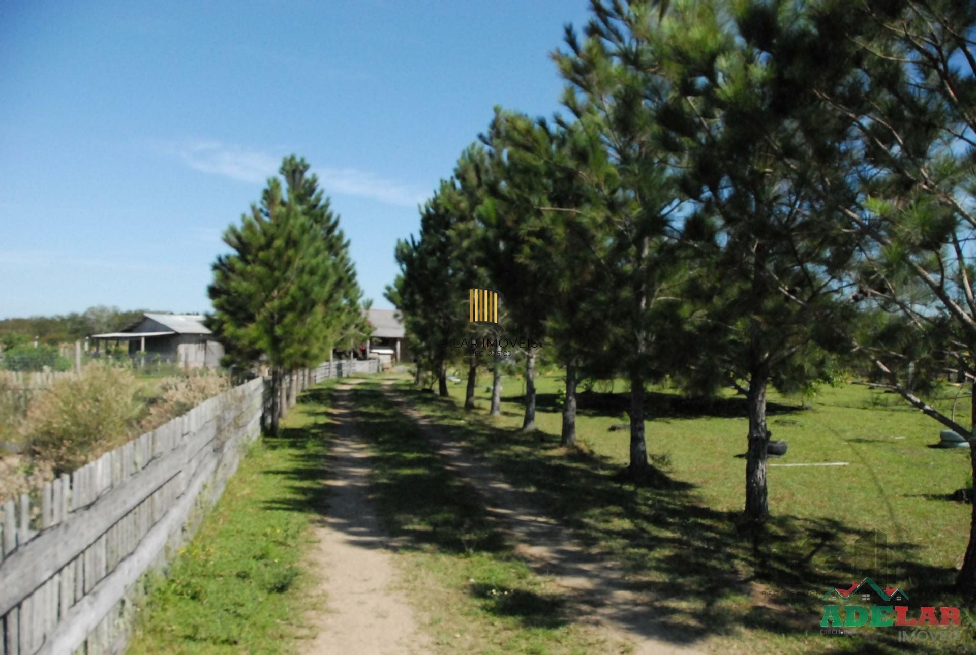 Sítio 2 dormitórios no bairro Lami
