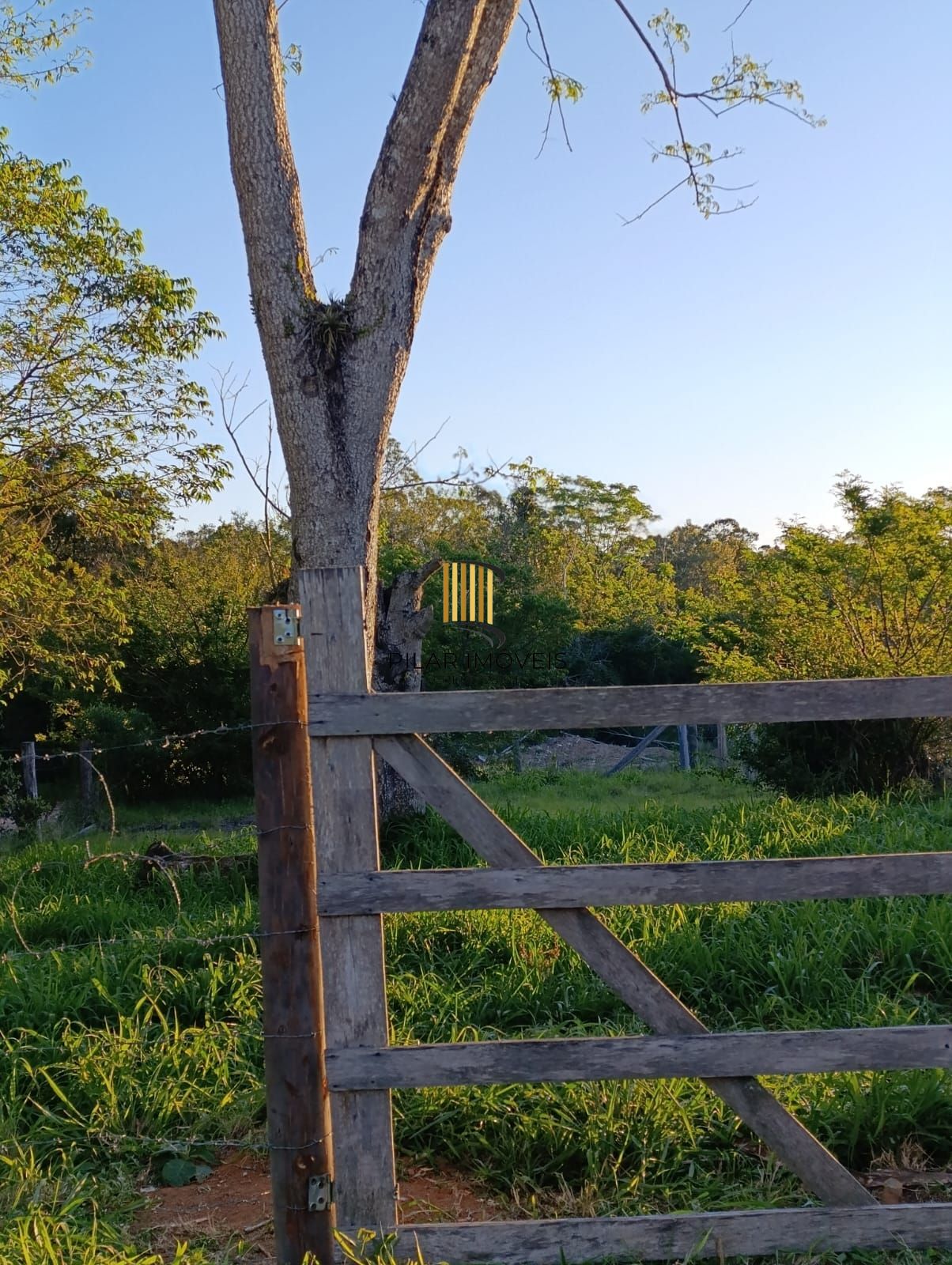Terreno no bairro Lageado