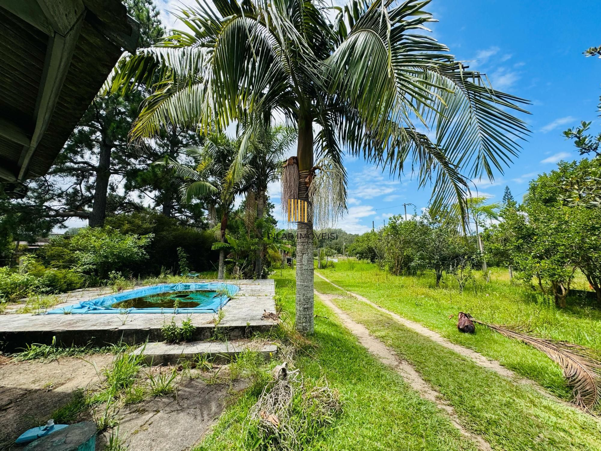 Sítio 3 dormitórios no bairro Parque Florestal Itapuã