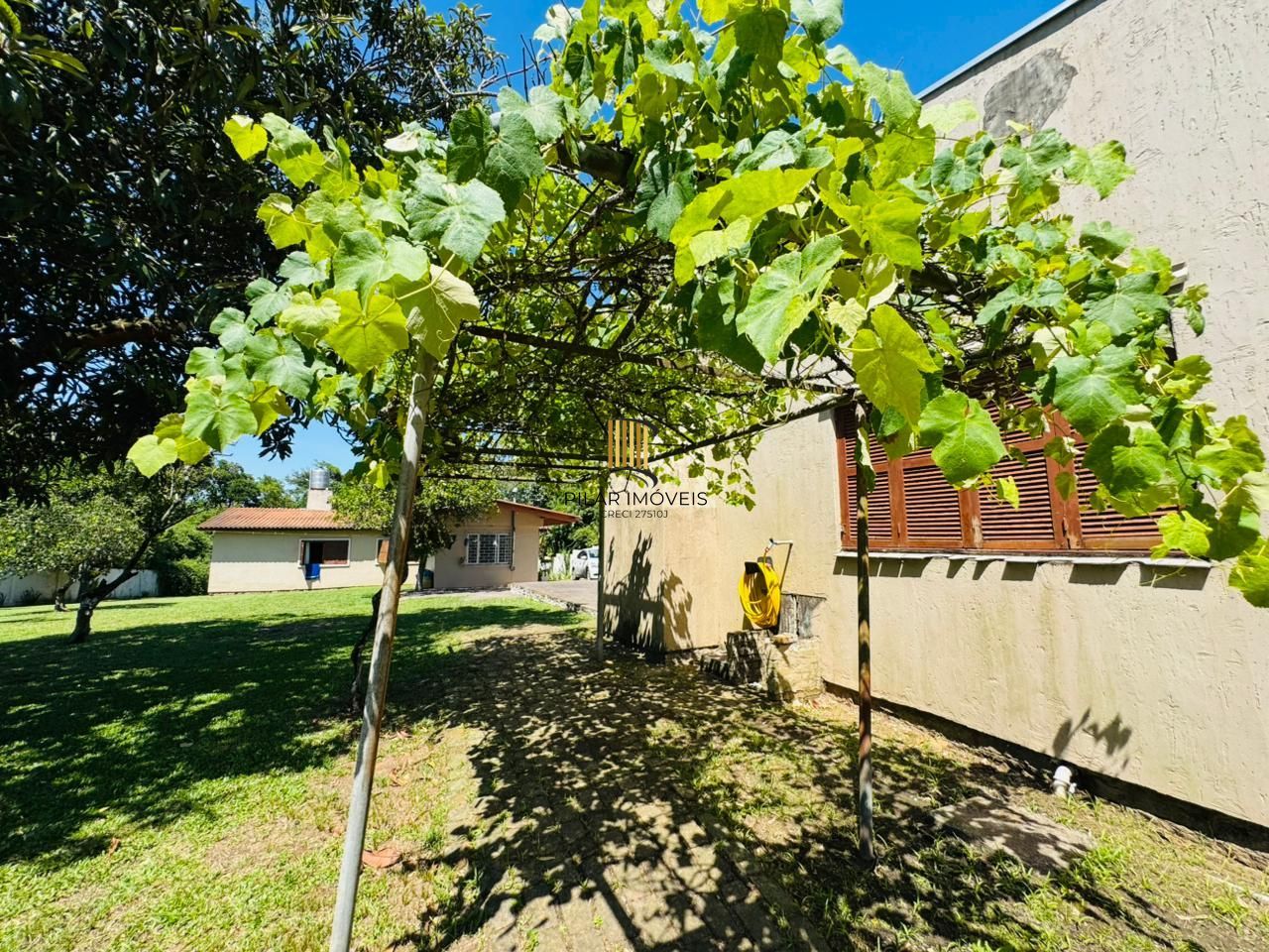 Sítio 4 dormitórios no bairro Boa Vista do Sul