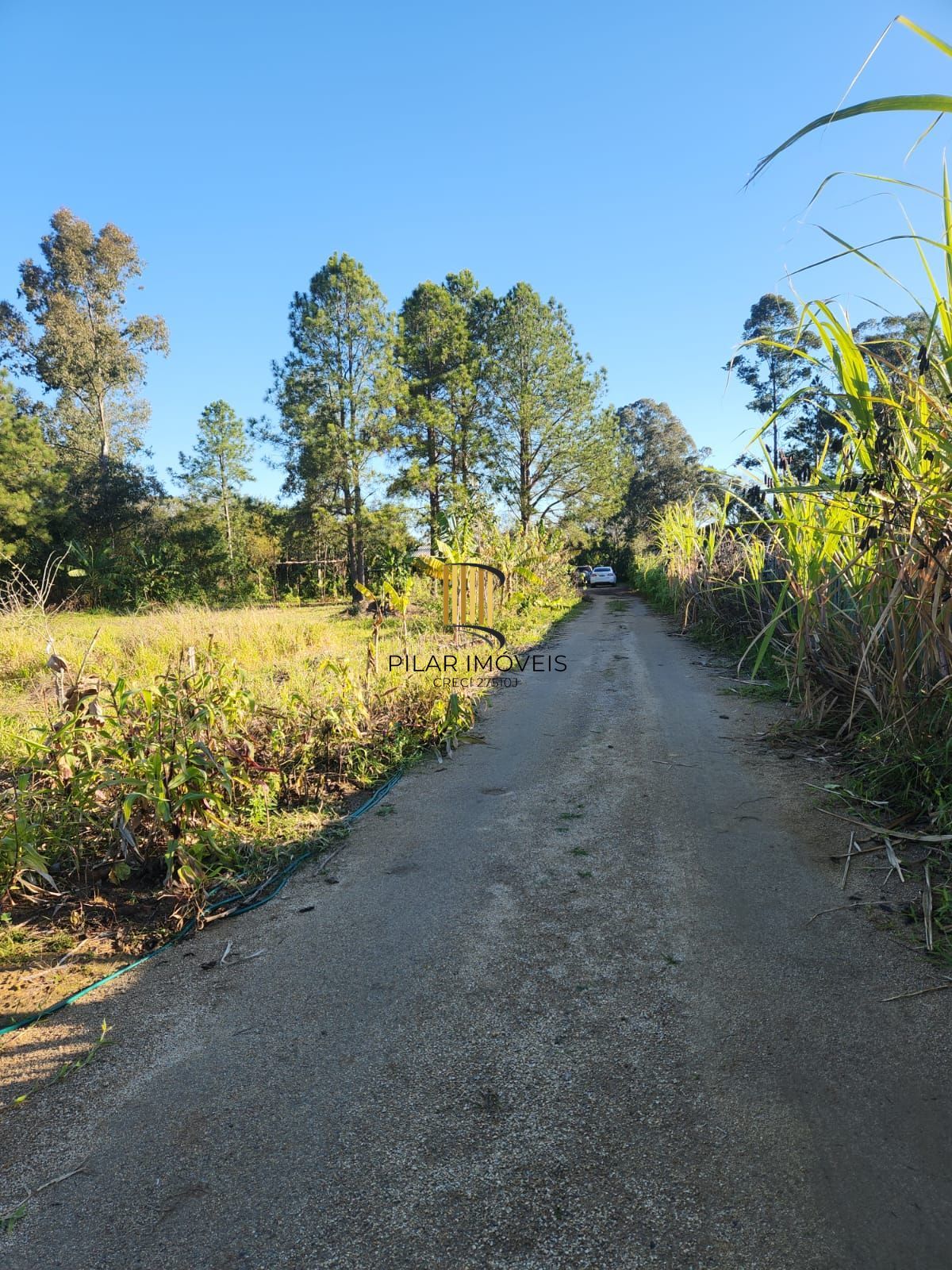 Sítio à venda no Parque São Paulo