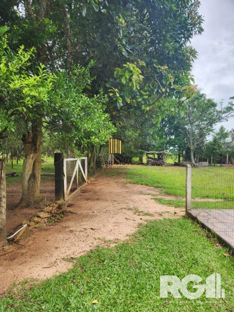 Sítio 3 dormitórios no bairro Águas Claras