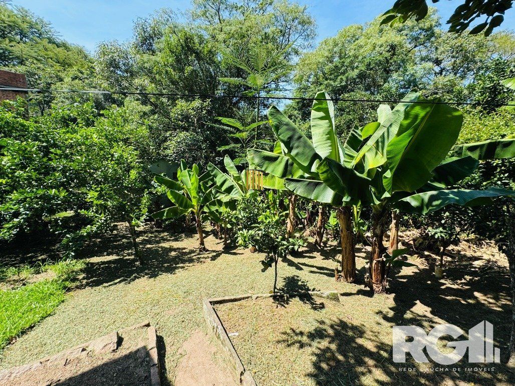 Sítio 3 dormitórios no bairro Belém Velho
