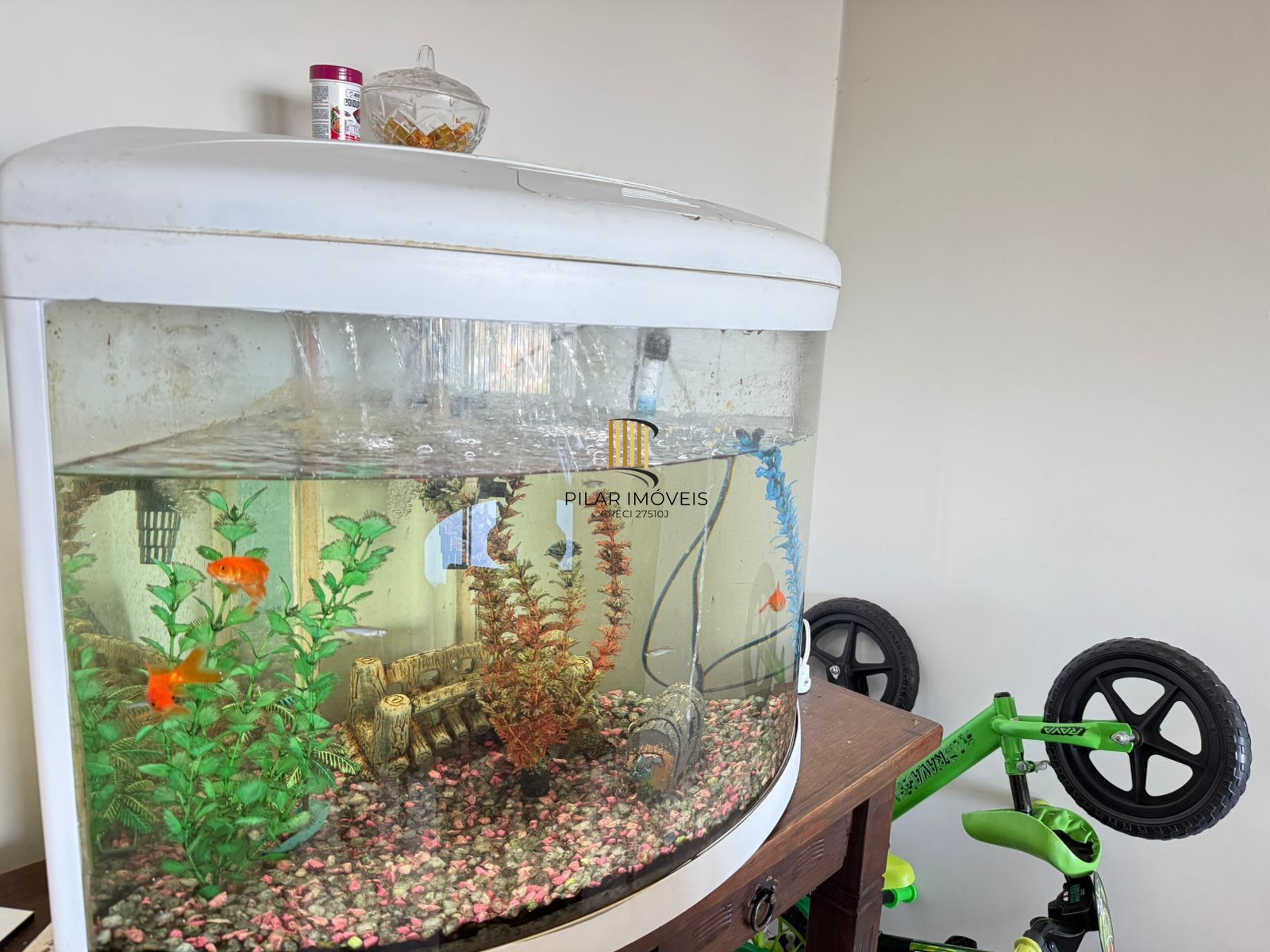 Apartamento 3 dormitórios no bairro Cavalhada