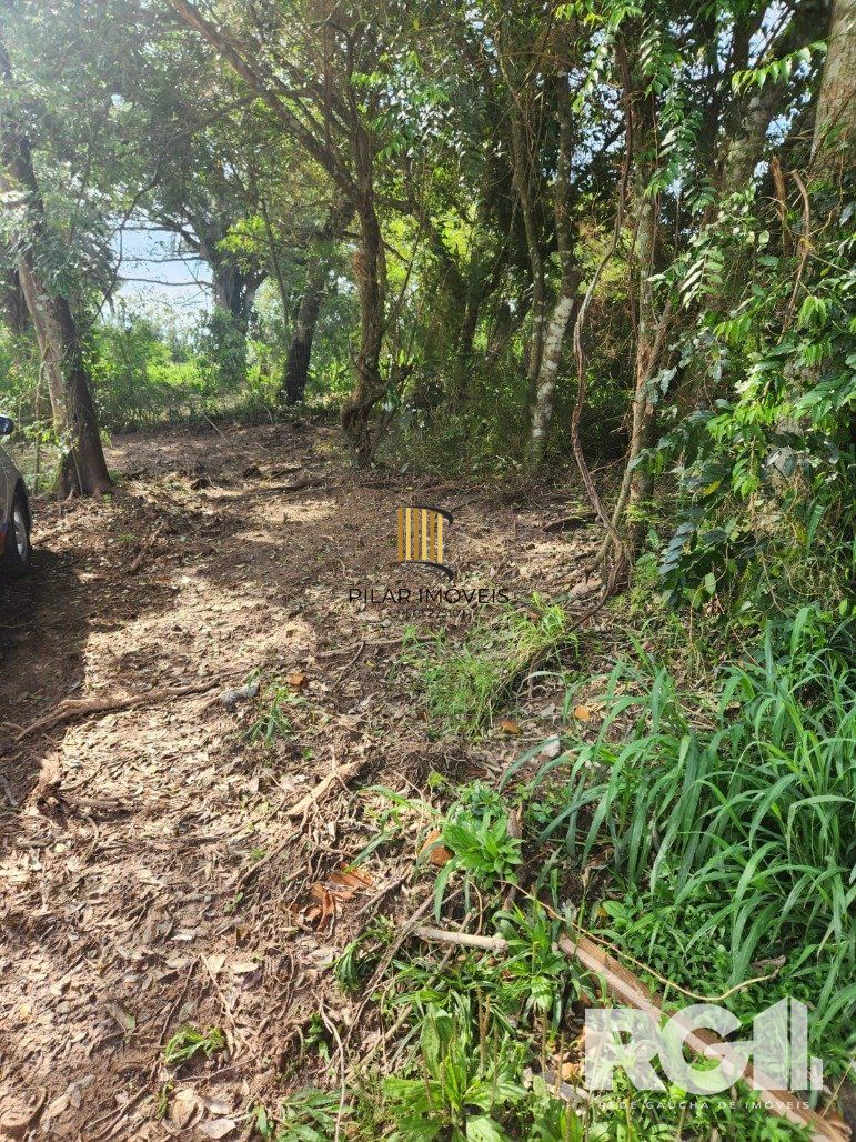 Terreno no bairro Lageado