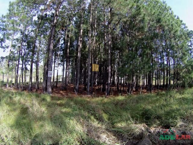 Terreno no bairro Lami