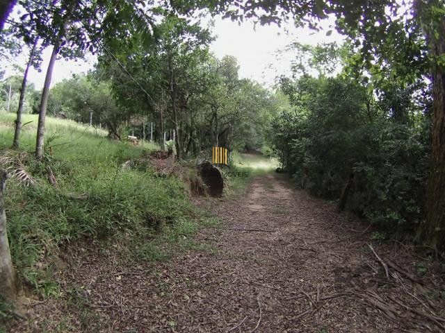 Sítio no bairro São Tomé