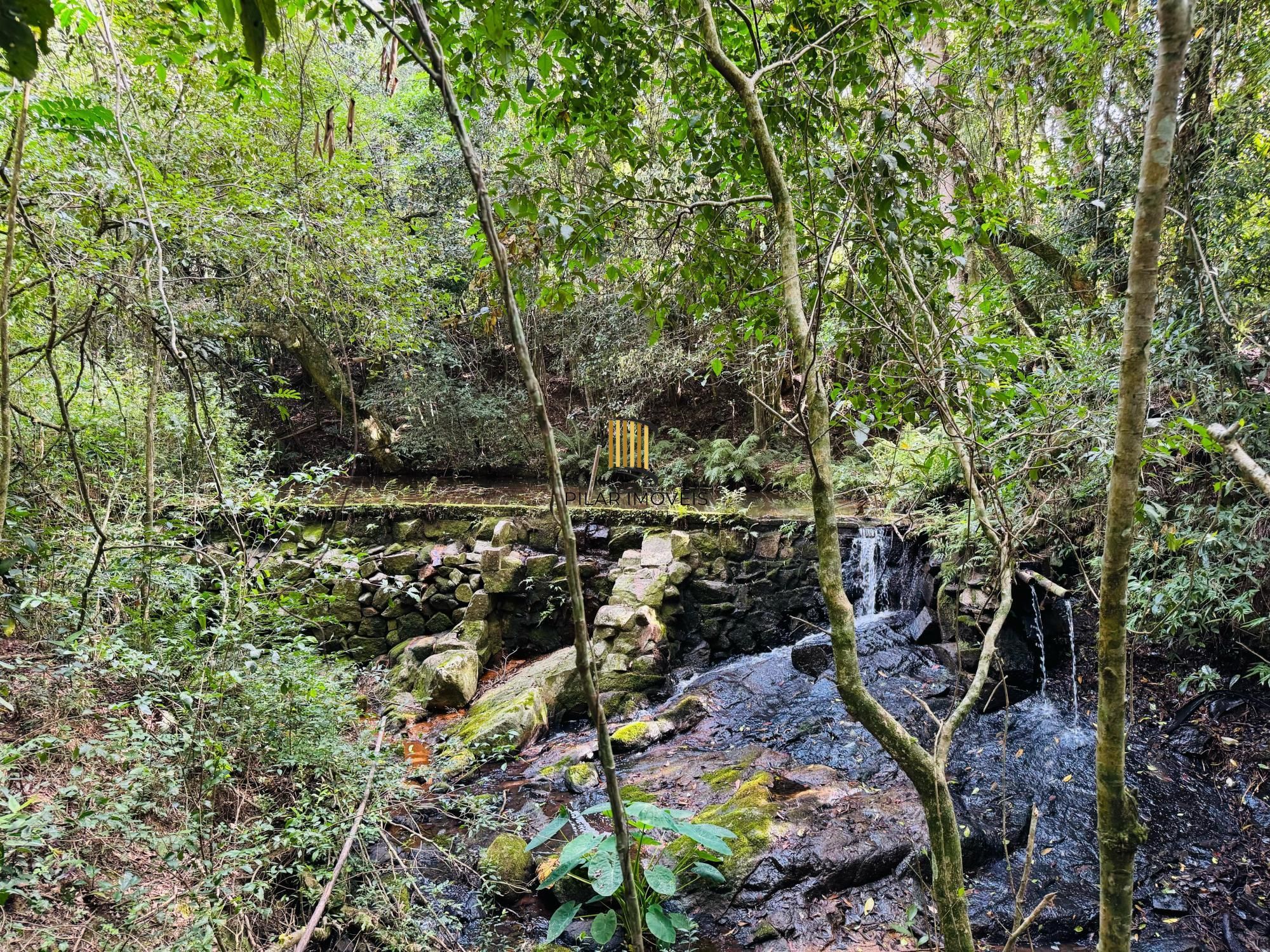 Sítio 3 dormitórios no bairro Lomba do Pinheiro