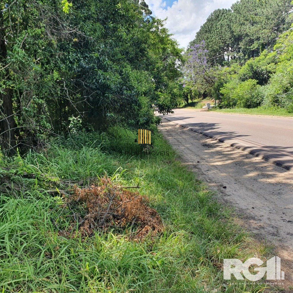 Terreno no bairro Lageado