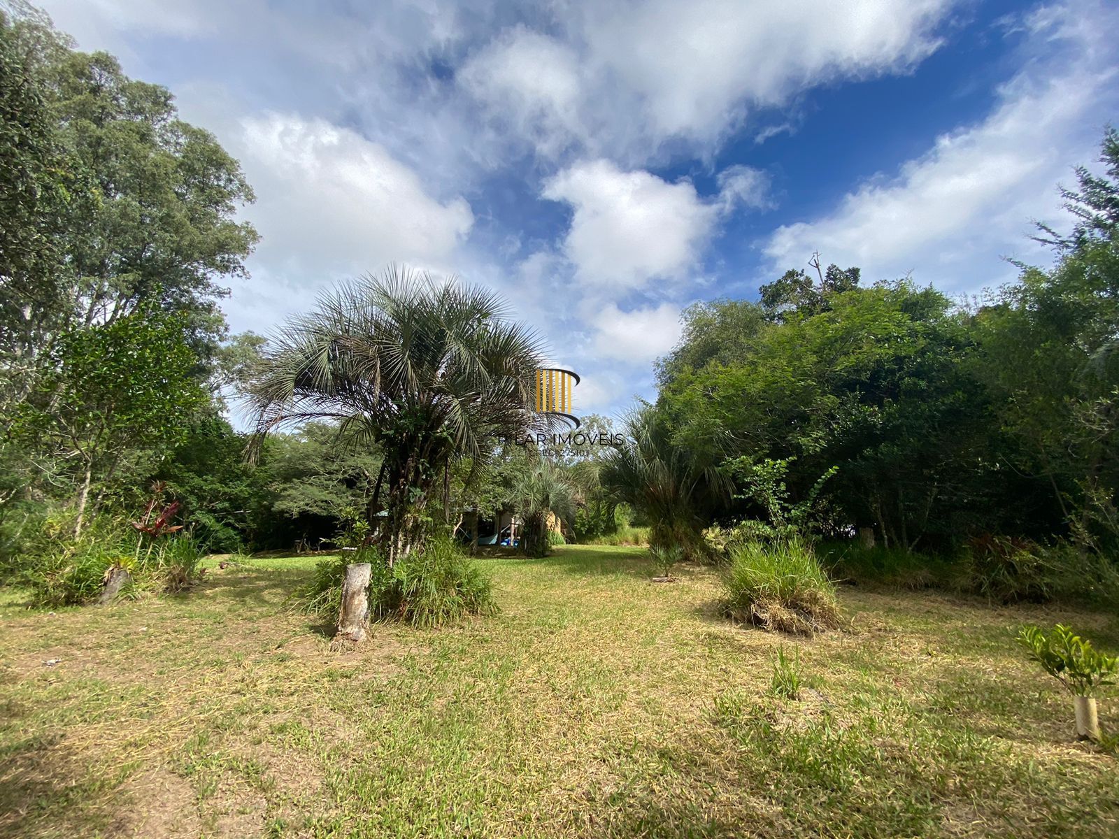 Sítio Bairro Parque Florestal (Itapuã)