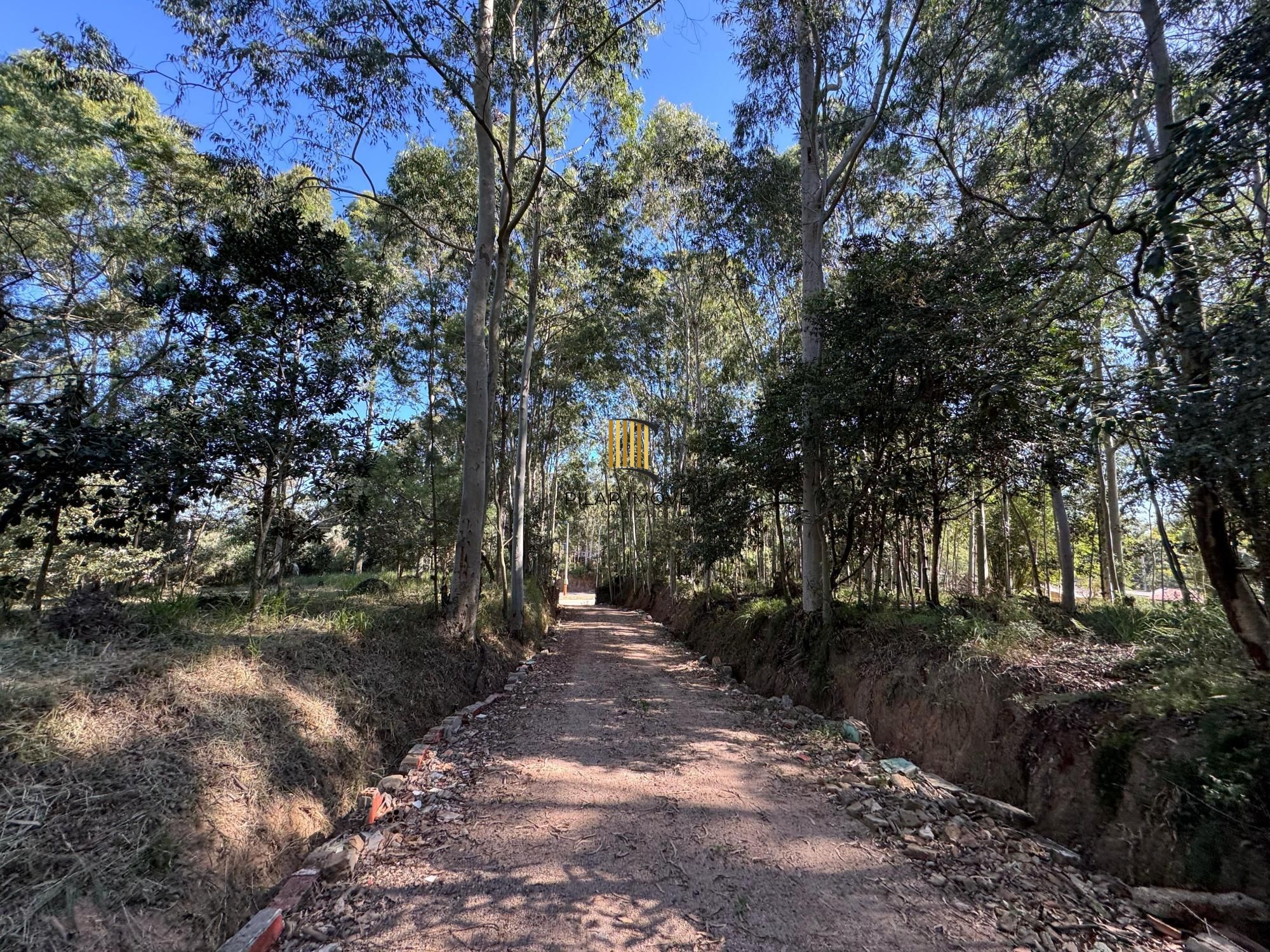 Área rural com 225,000m²